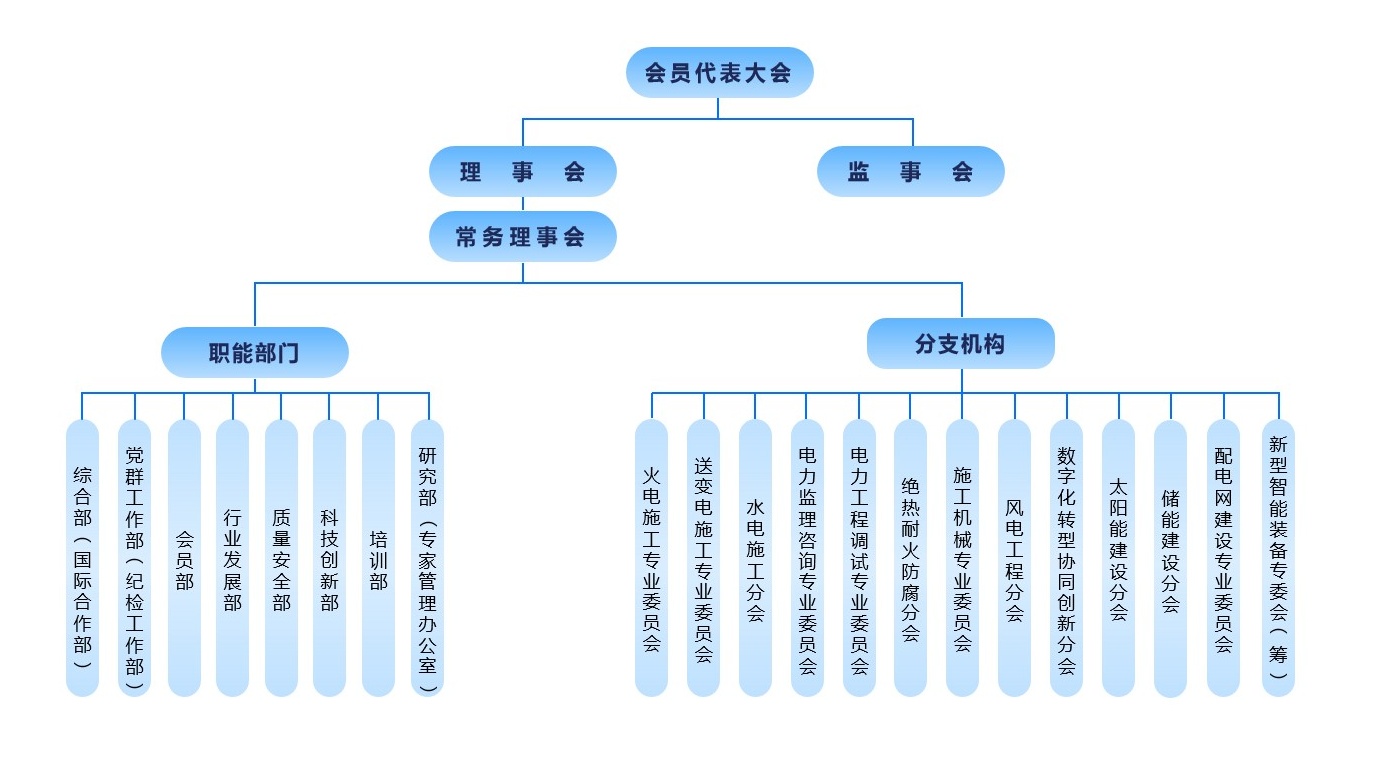 组织机构-蓝色_最终版(调色后_2025_11_3__不带联席机制_看图王.jpg 组织机构-蓝色_最终版(调色后_2025_11_3__不带联席机制_看图王.jpg